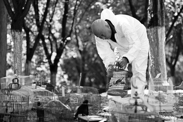 港联证券 859只“小精灵”重返蓝天